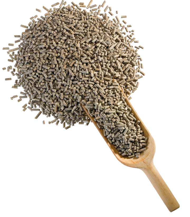 DERBY Aminotop DERBY Aminotop